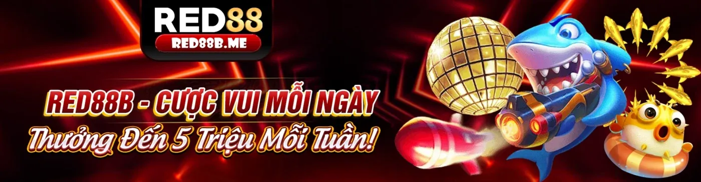Hình ảnh chính trang Câu hỏi thường gặp 8888new
